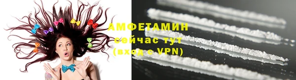 индика Новозыбков