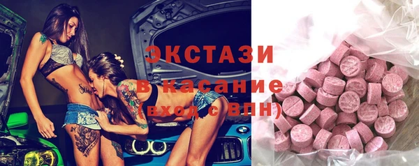 индика Новозыбков
