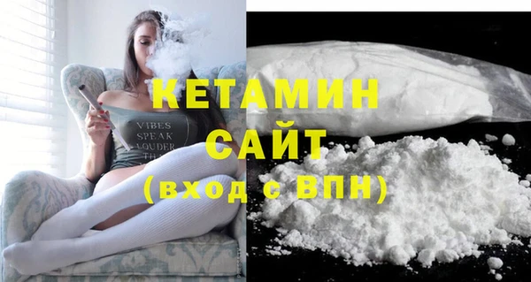 индика Новозыбков